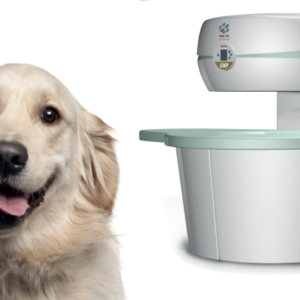 mri vet